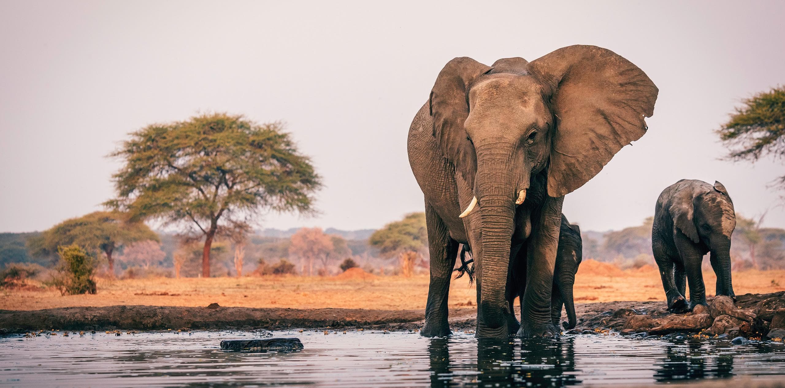 Botswana